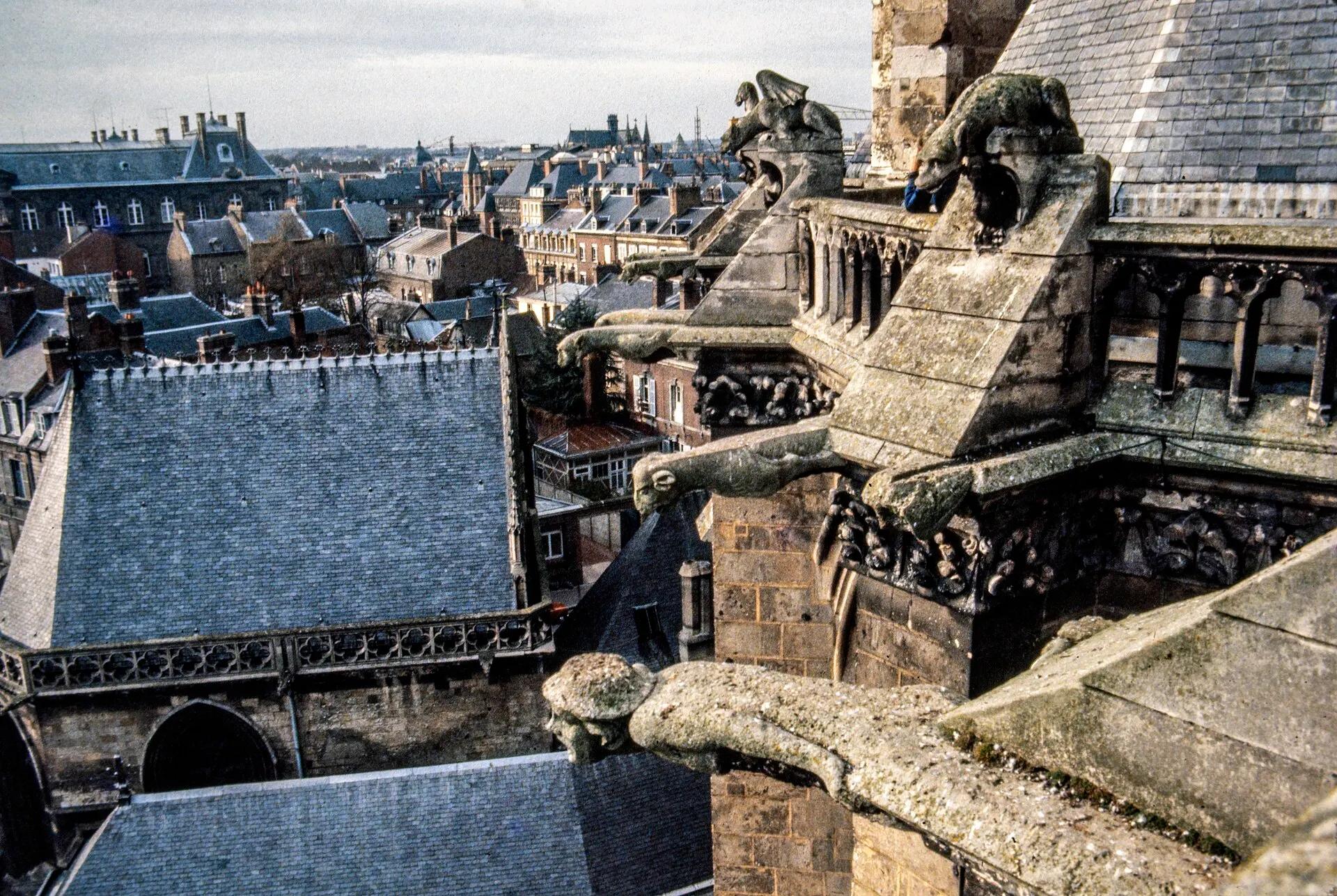 Gargoyles on Amiens Cathedral with the city below