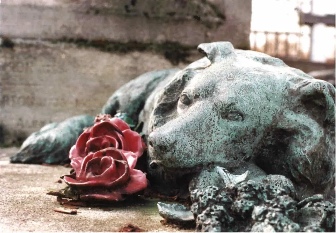 Weathered stone dog statue with a red rose resting against it