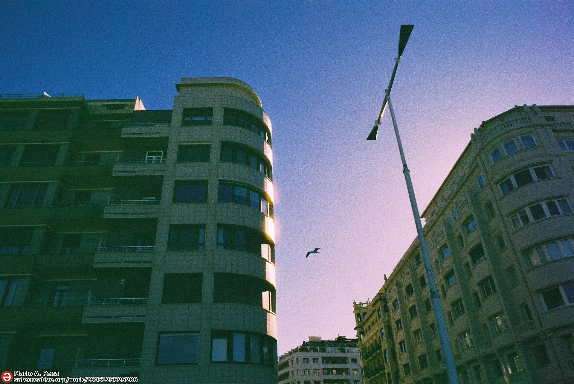 Green-tinted apartment buildings and a street lamp against a deep blue sky, with a single bird in flight