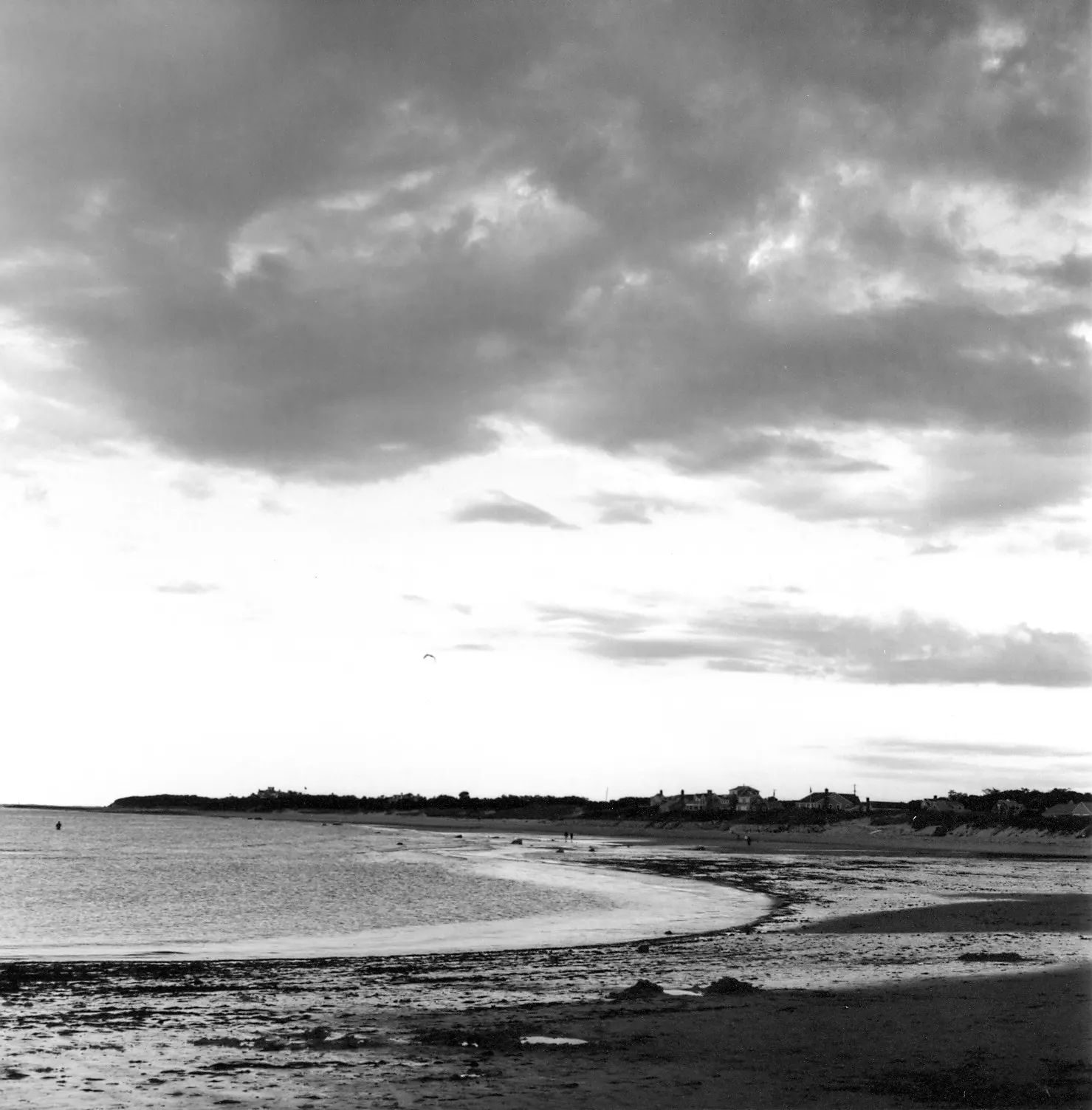 Black-and-white beach and cloudy sky along the road to Cape Cod
