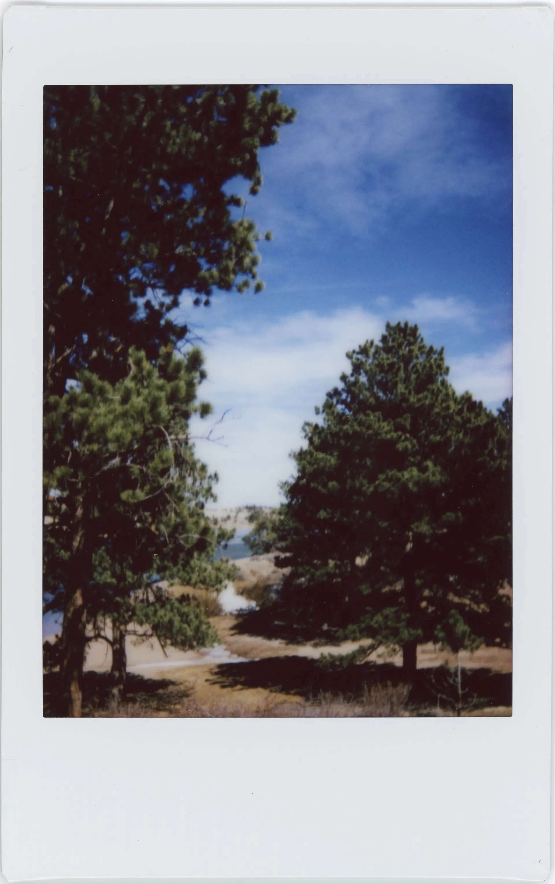 A scanned Instax Mini print of pine trees under a blue sky with clouds