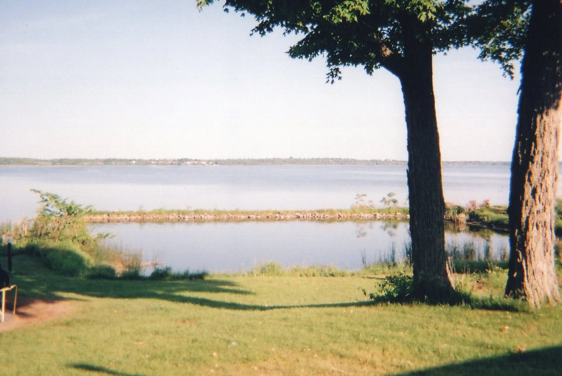 Two tree trunks on a sunny lawn at the edge of a calm lake with a grassy strip in the water