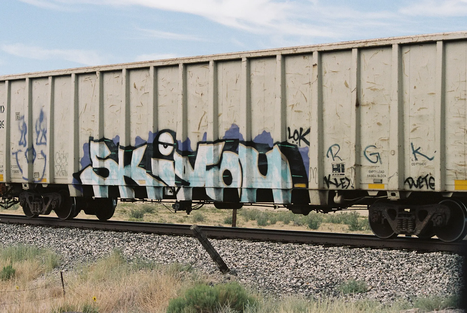 Graffitied freight car rolling past dry desert scrub under a pale sky