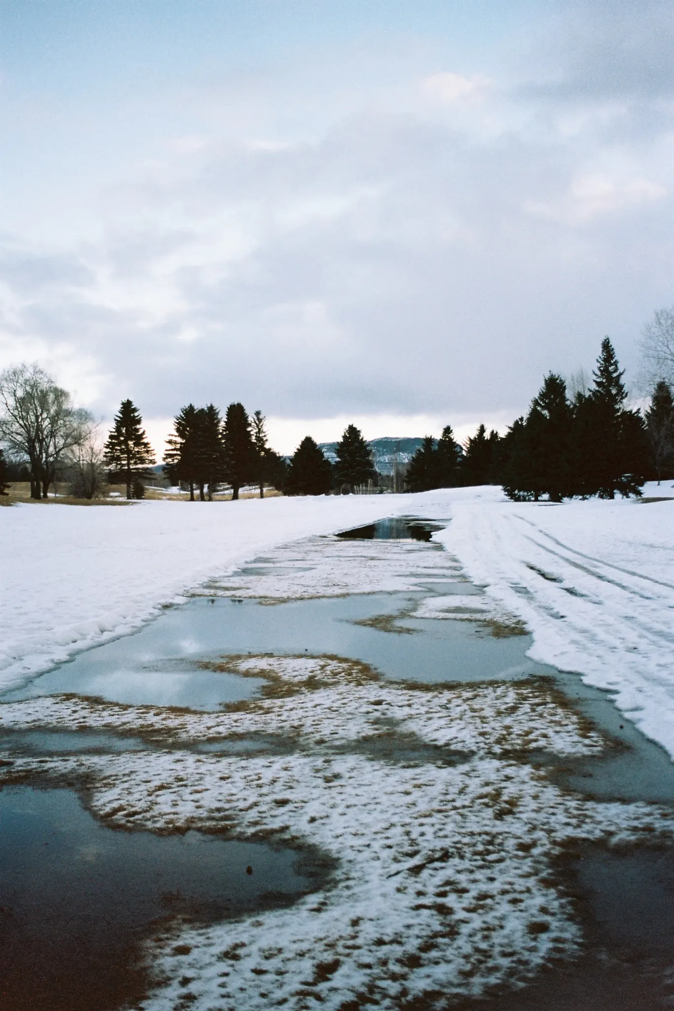 Path of melting snow and slush leading toward a line of trees under a cloudy sky