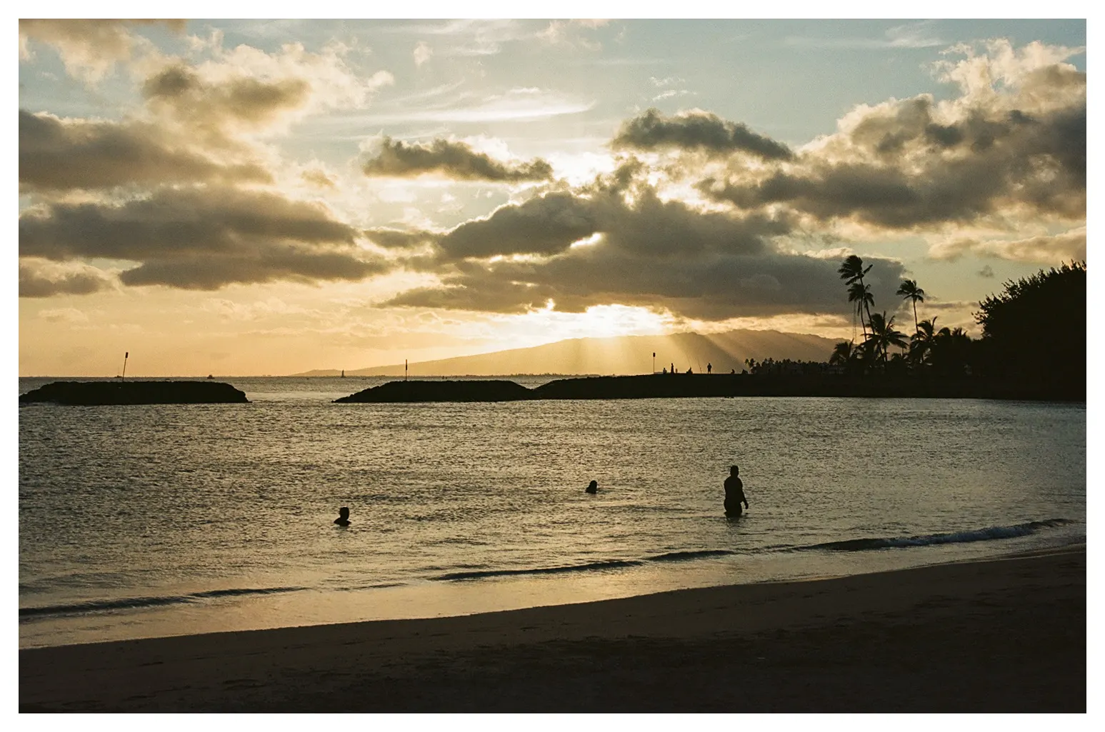 Swimmers silhouetted in calm water at sunset, with clouds lit gold over the bay