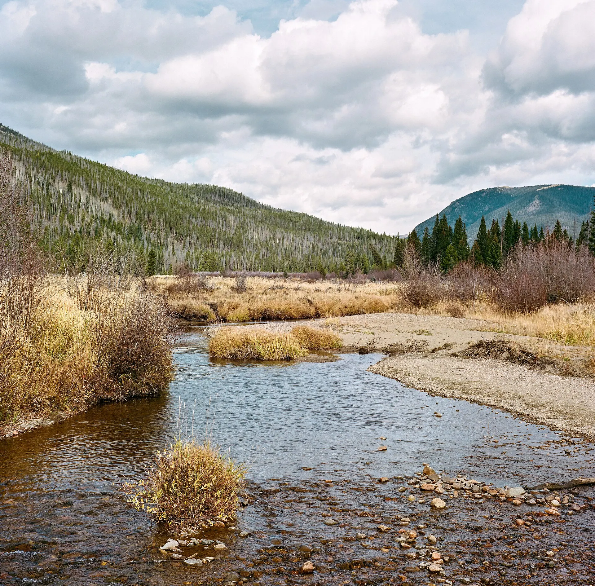 A shallow river winding through dry autumn grass and willows below forested mountains and a cloudy sky