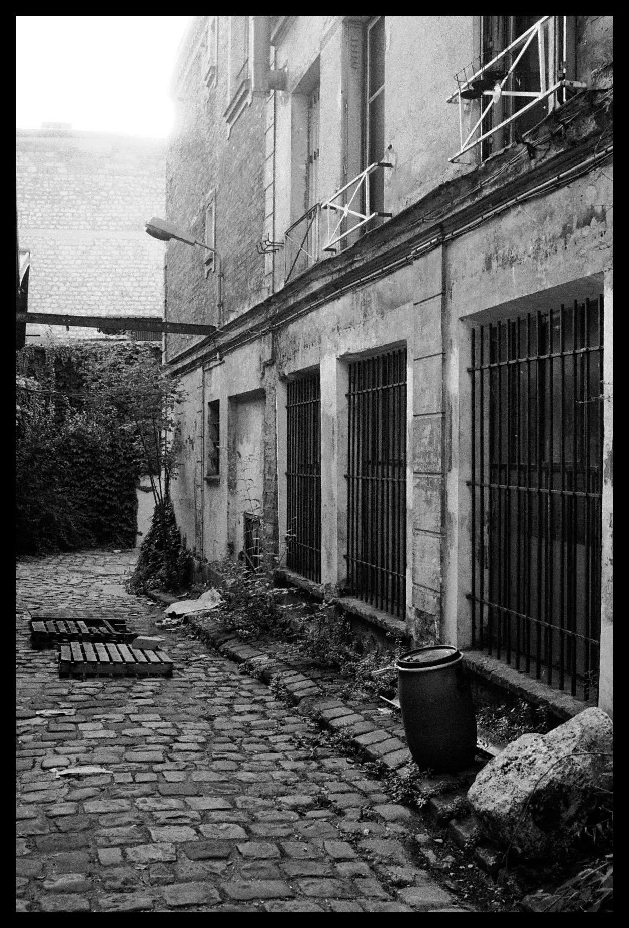 Black and white photo of an overgrown cobbled courtyard beside an abandoned building