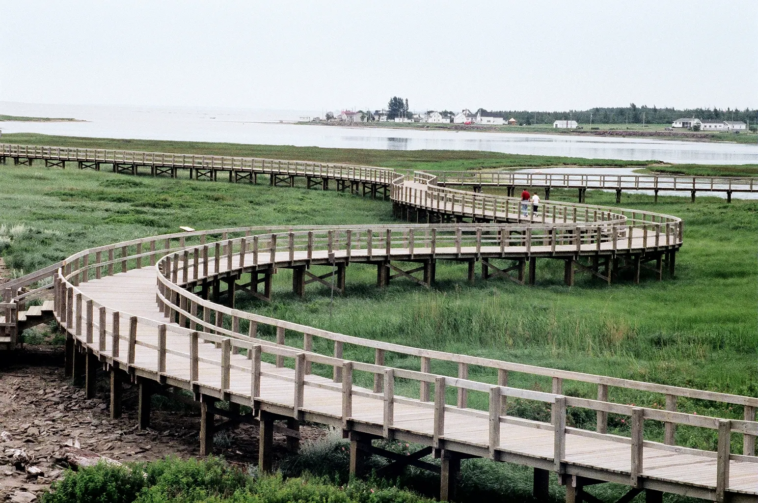 A wooden boardwalk curving across dune grass toward the sea