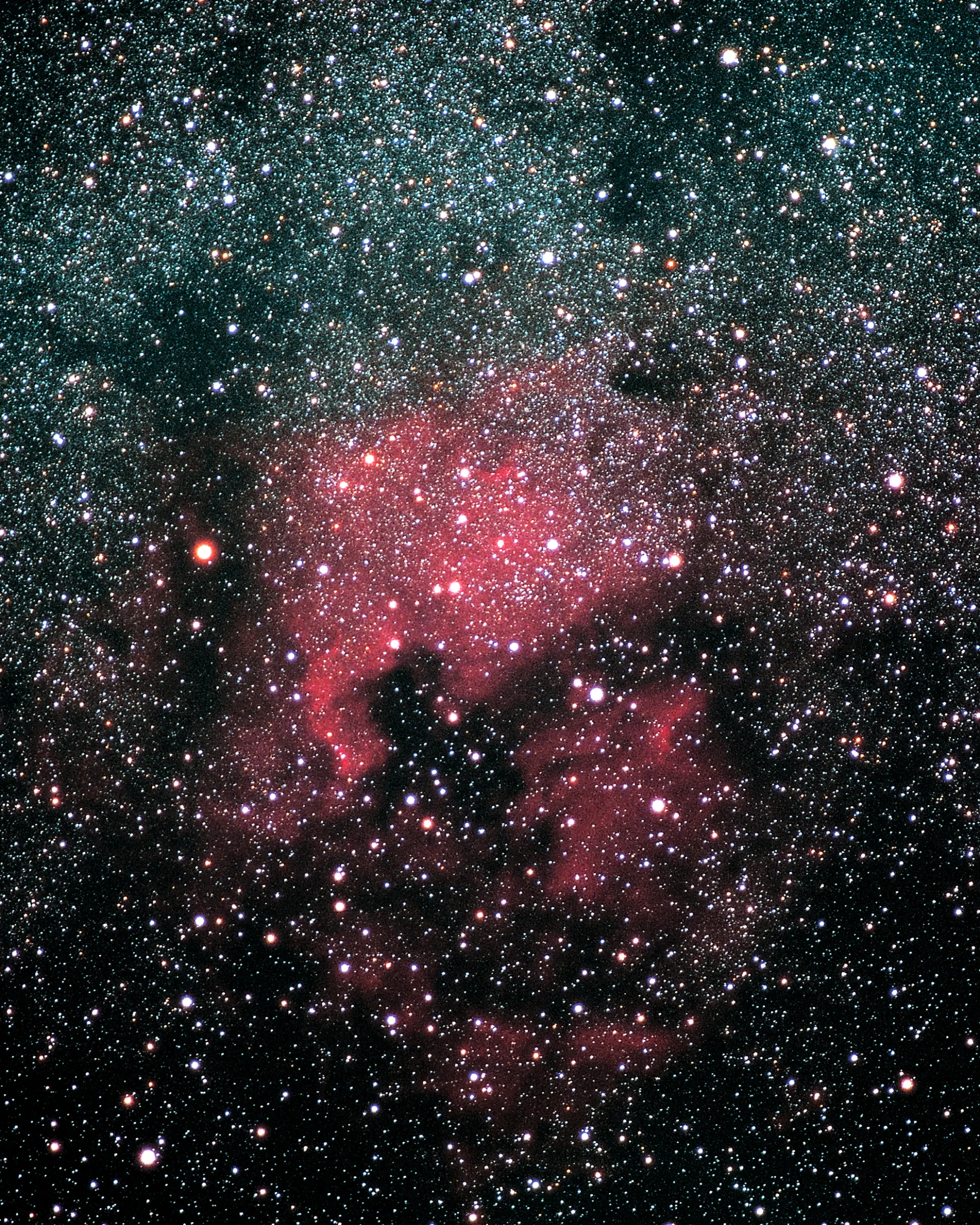 The North America Nebula in a dense field of stars