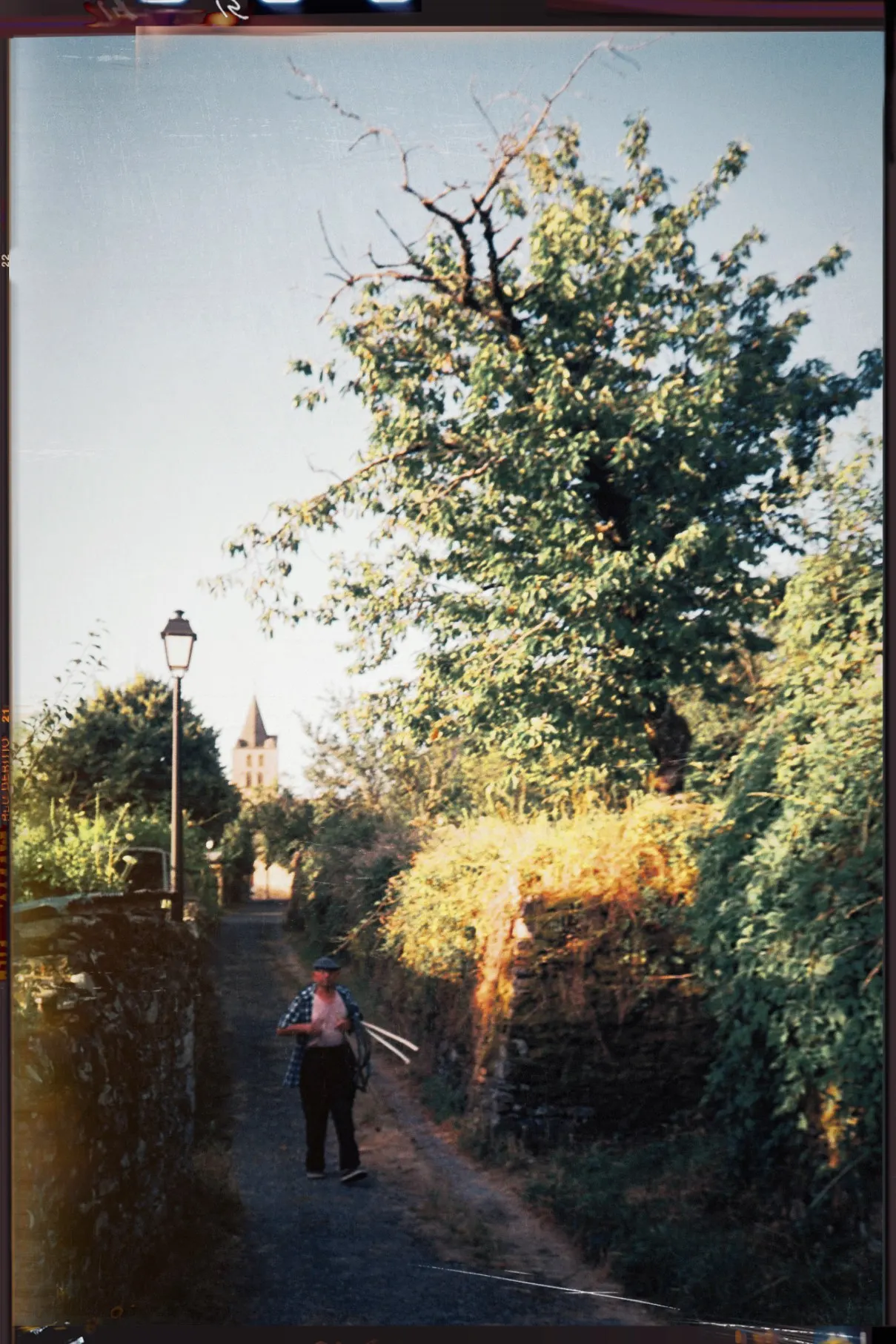 A narrow country lane between trees and hedges with a person walking in the distance