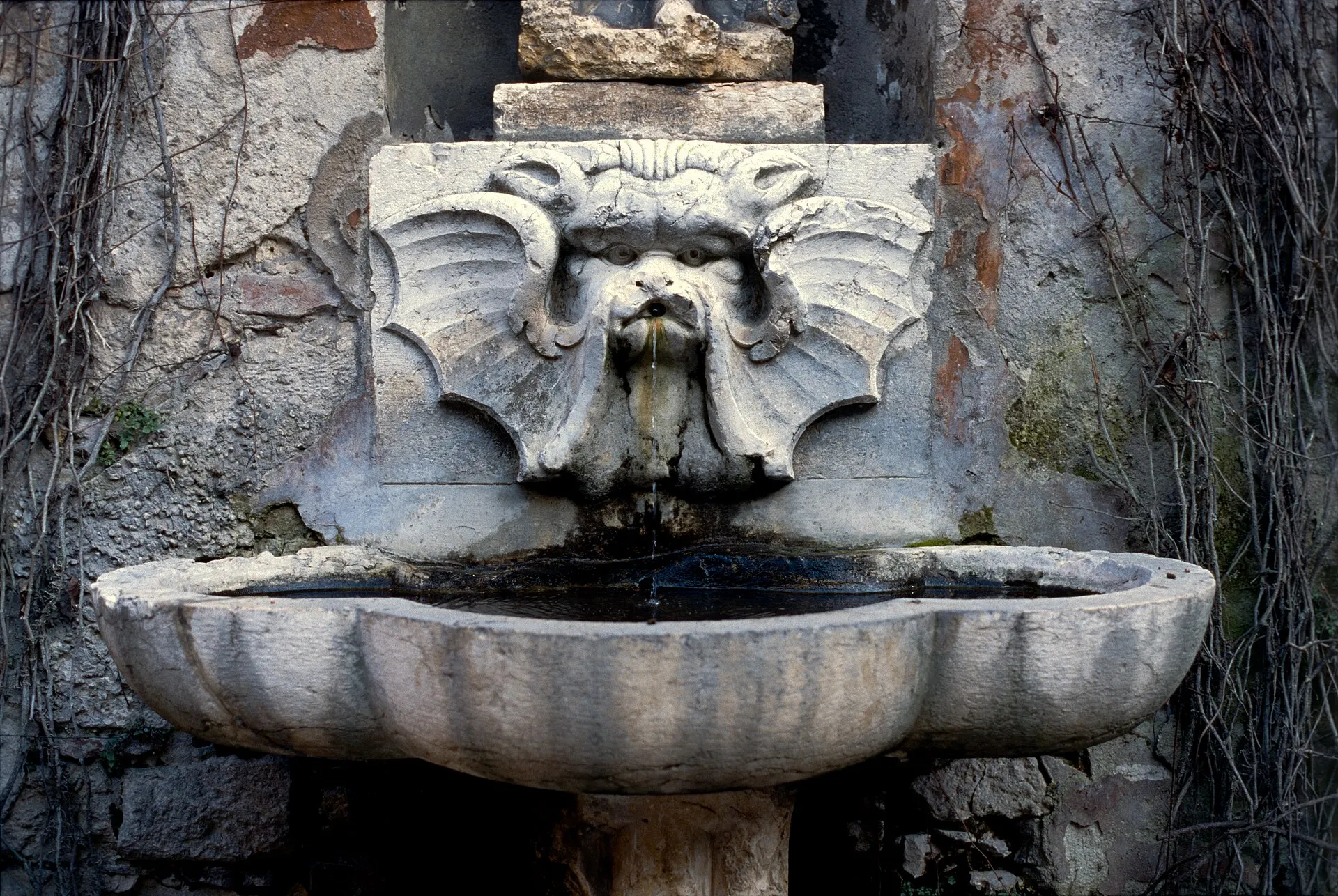 Stone shell-shaped fountain basin under a carved sea-monster mask, framed by bare climbing vines