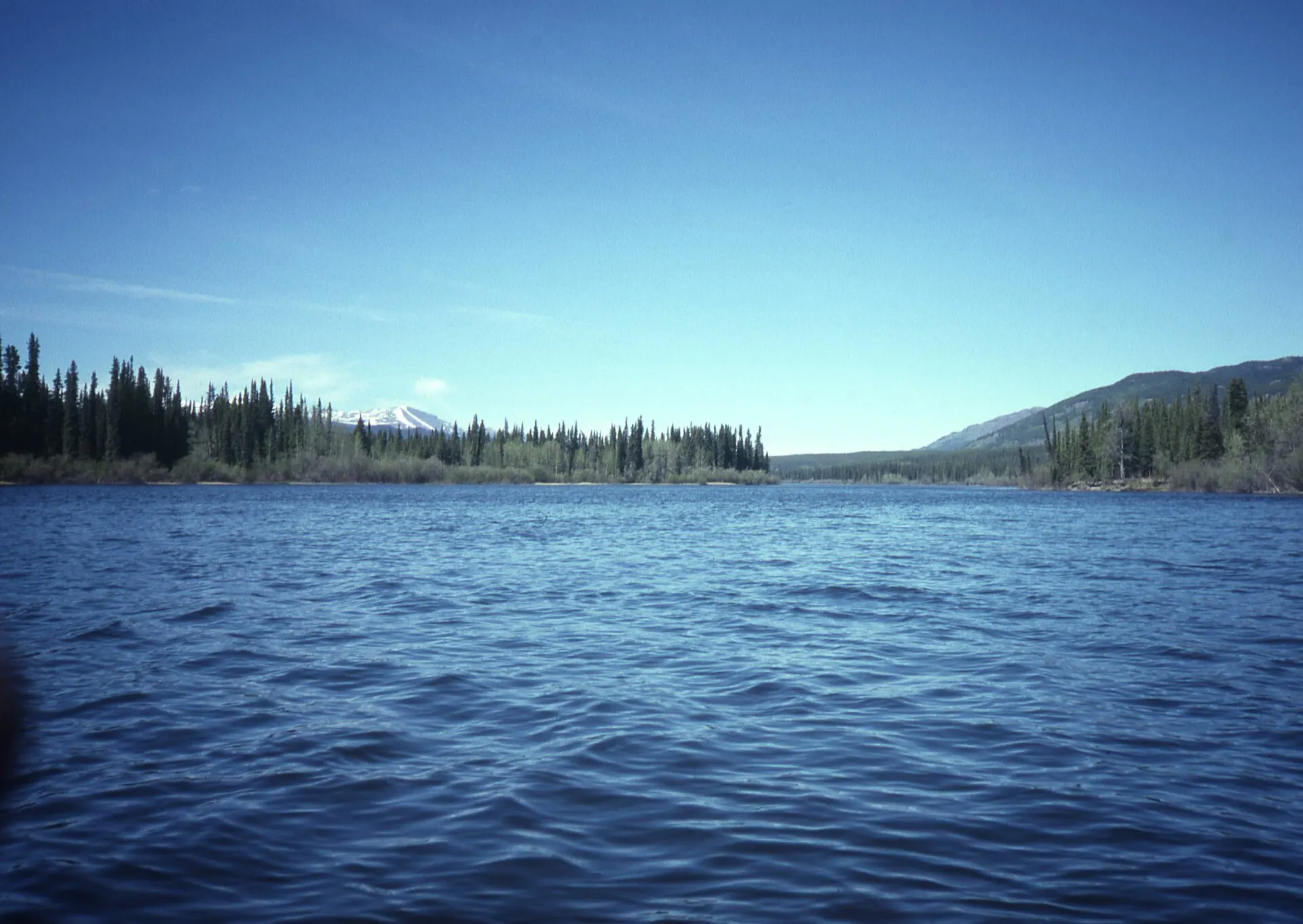 Wide blue river with forested banks and a distant mountain, seen from a canoe