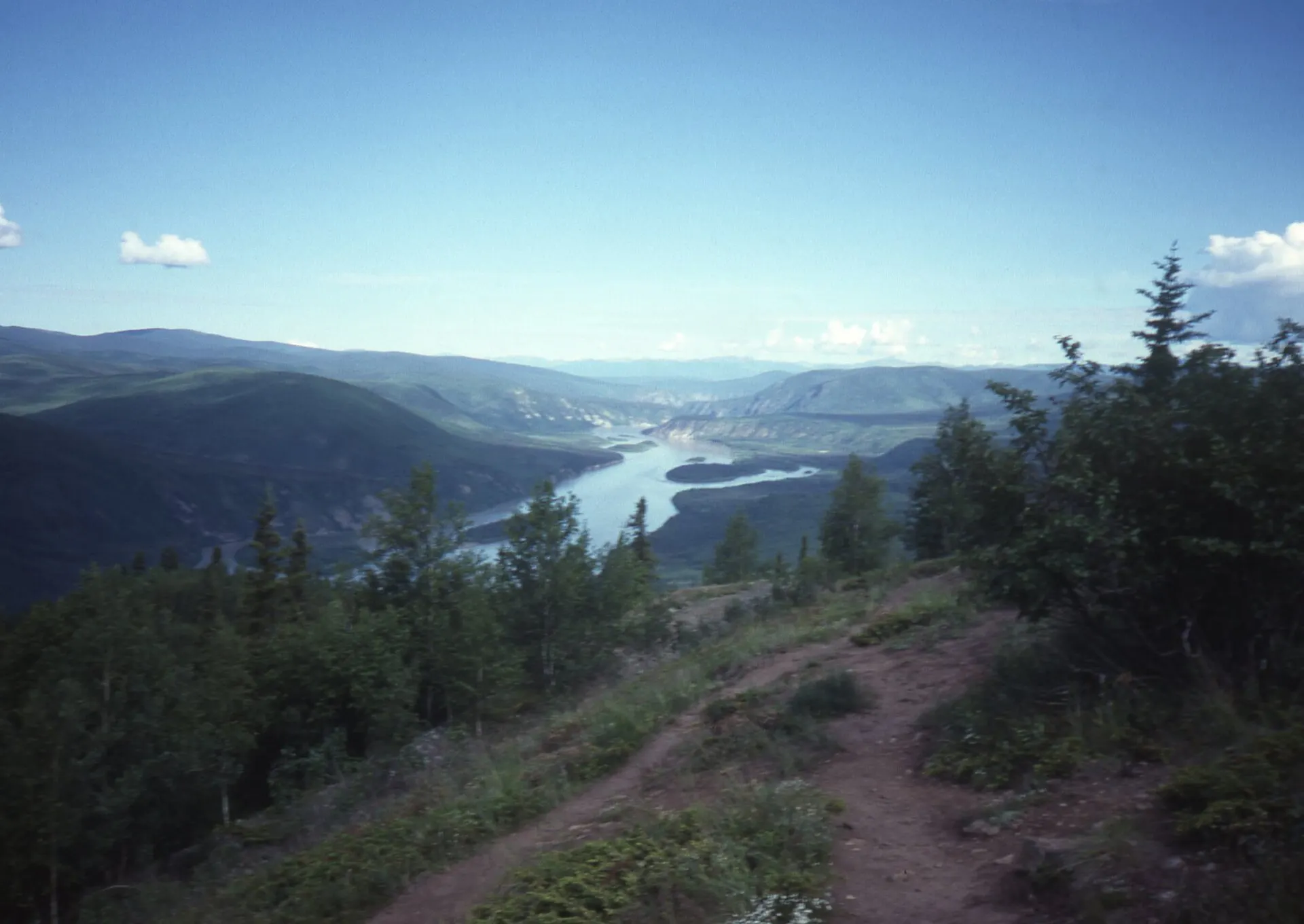 The Yukon River winding through a forested valley, seen from a hillside path