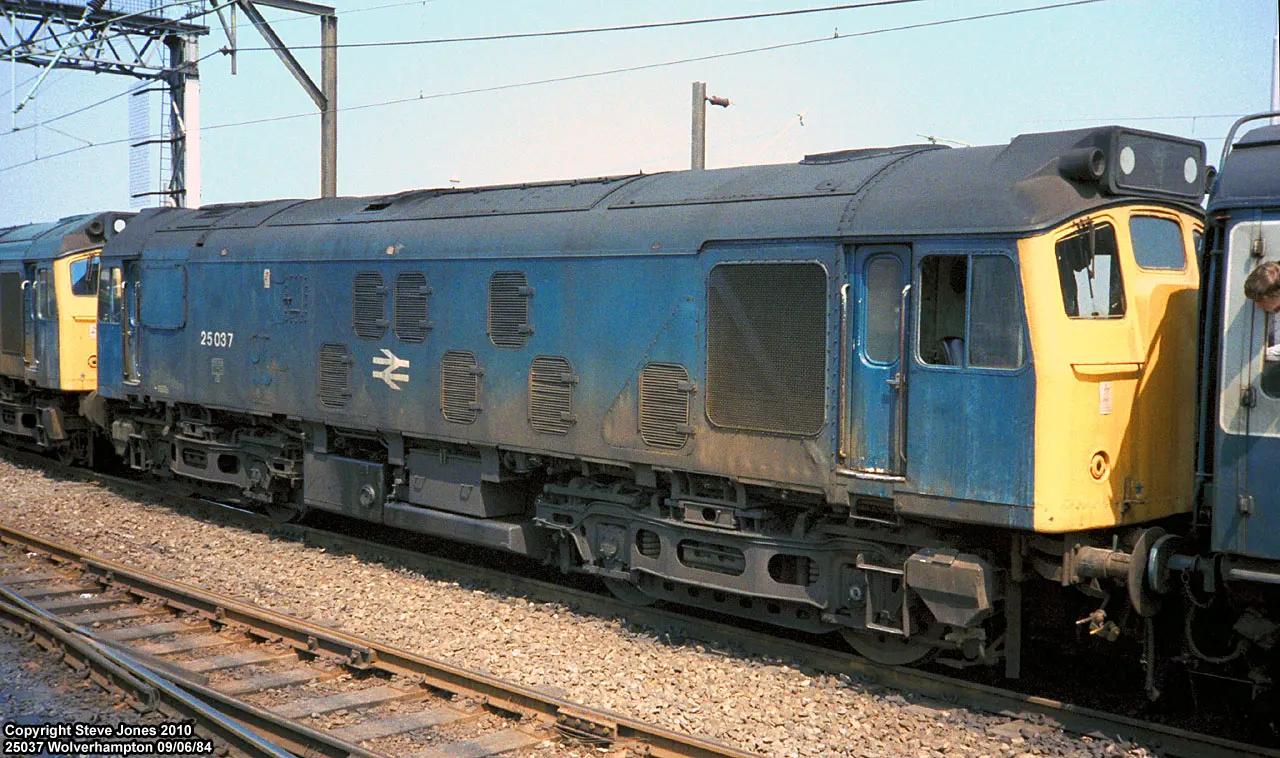 Blue and yellow British Rail diesel locomotive 25037 at a station platform under overhead wires