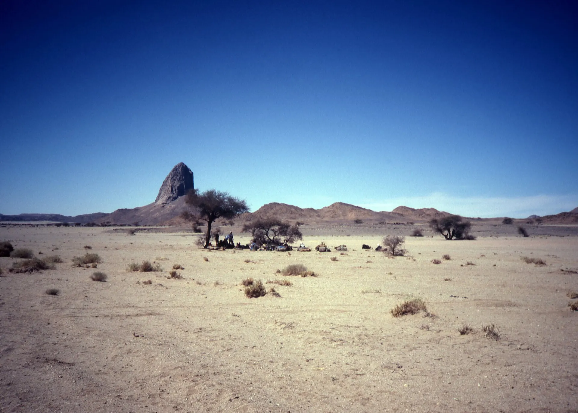 Flat desert with scattered trees and a tall rock peak under a deep blue sky