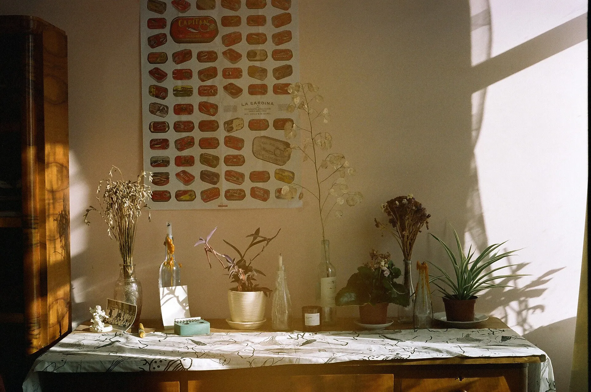 Sunlit table with dried flowers, potted plants and a poster on the wall