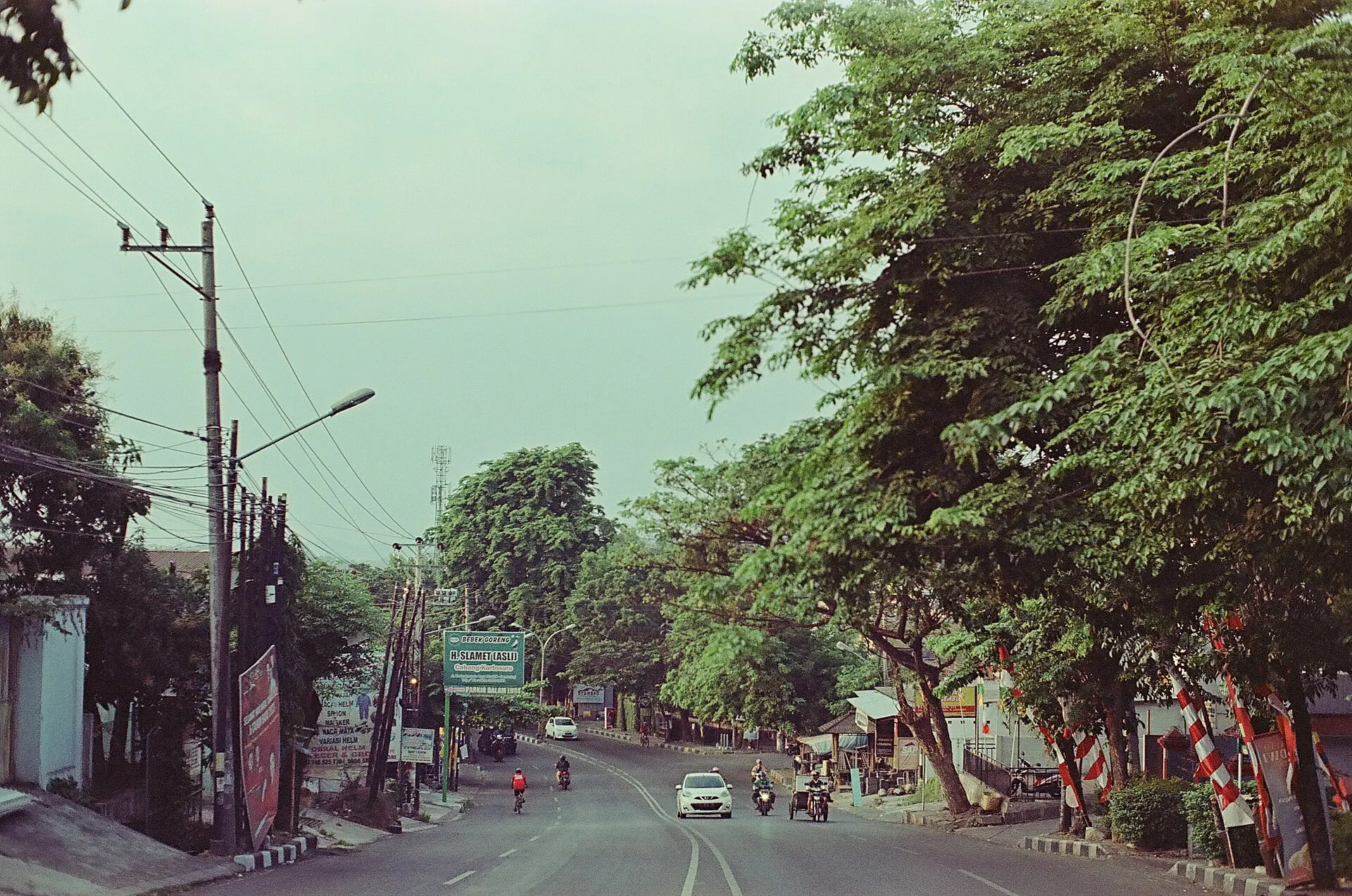Tree-lined street with motorbikes and power poles