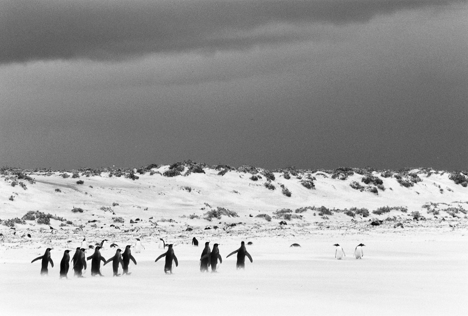 Black-and-white beach scene with dark storm clouds over pale dunes
